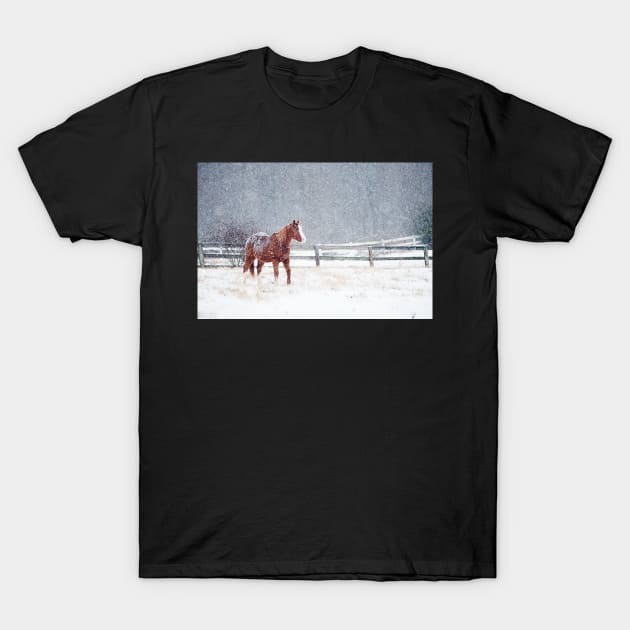 Horse In Snow Storm T-Shirt by Kyle O'Briant